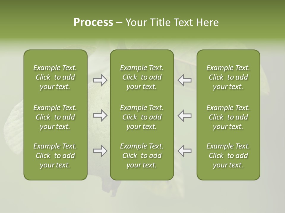 Orange Fruit Fiber PowerPoint Template