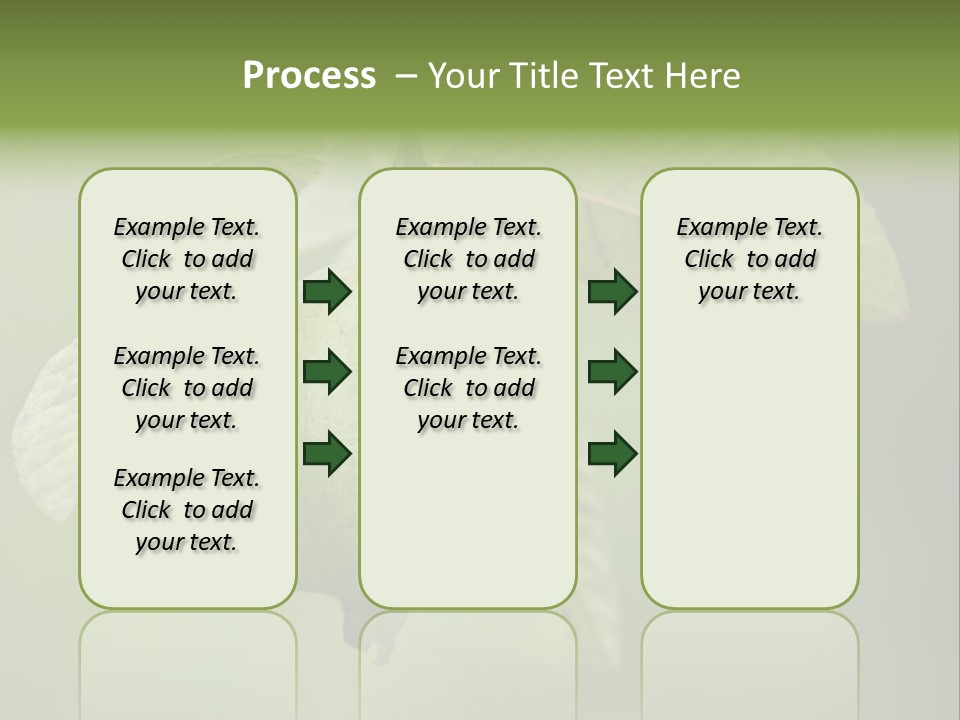 Orange Fruit Fiber PowerPoint Template