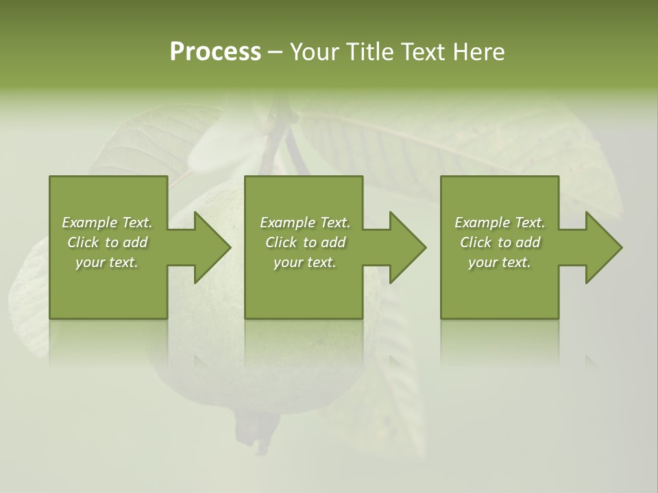 Orange Fruit Fiber PowerPoint Template