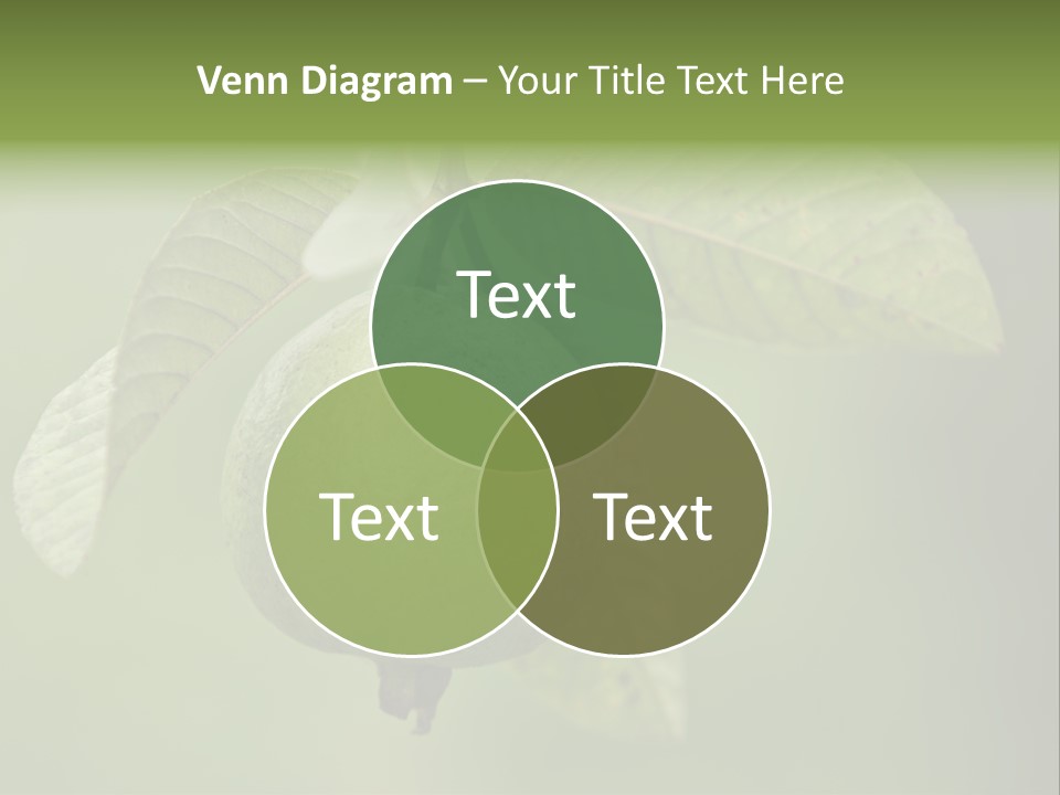 Orange Fruit Fiber PowerPoint Template