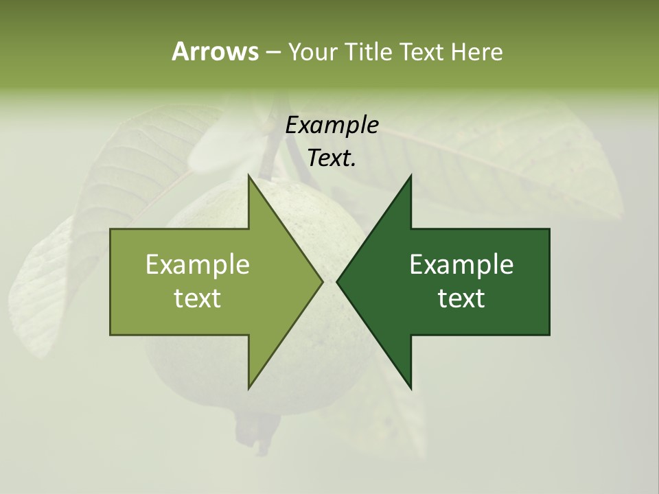 Orange Fruit Fiber PowerPoint Template