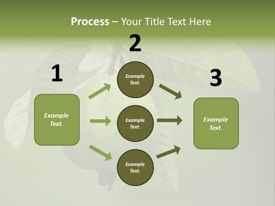Orange Fruit Fiber PowerPoint Template