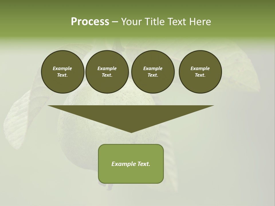 Orange Fruit Fiber PowerPoint Template