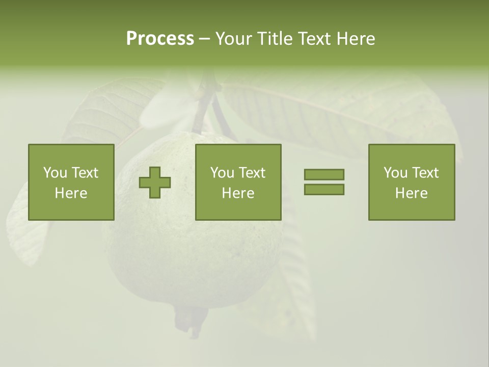 Orange Fruit Fiber PowerPoint Template