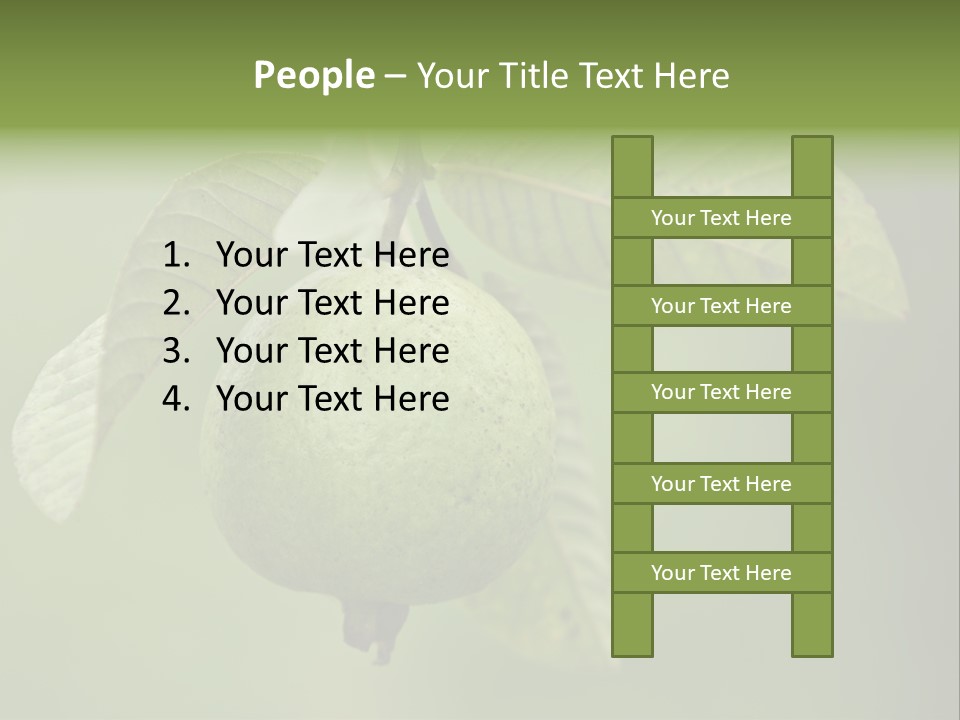 Orange Fruit Fiber PowerPoint Template