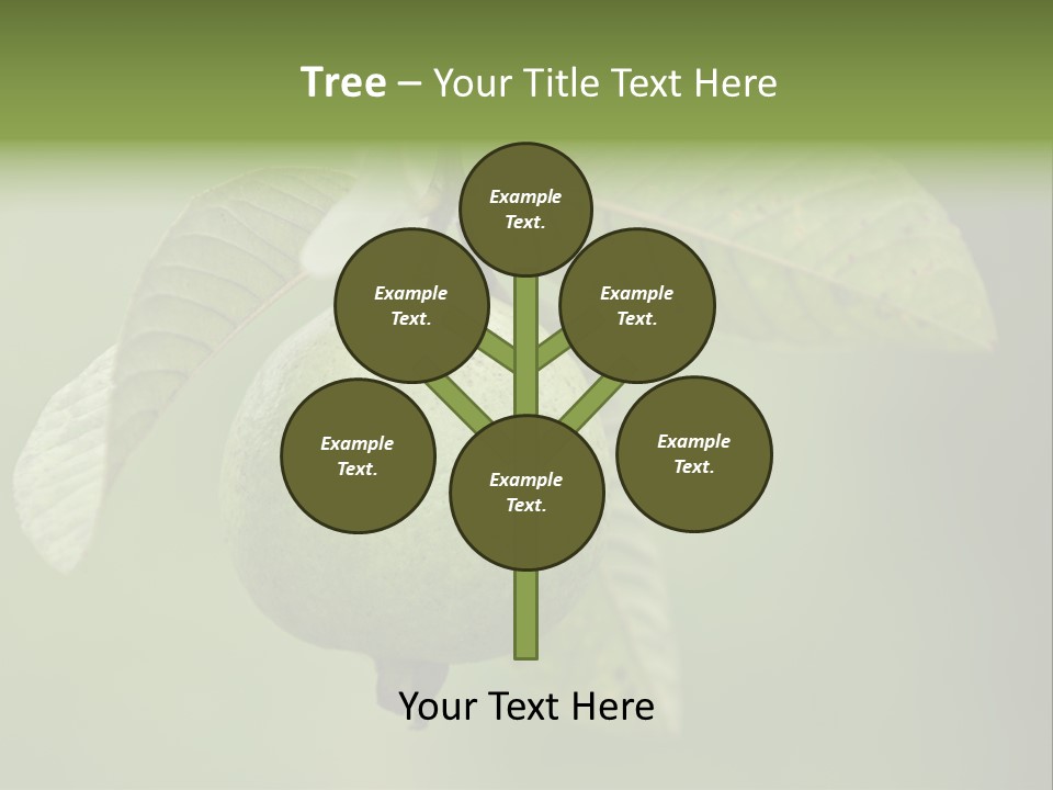 Orange Fruit Fiber PowerPoint Template