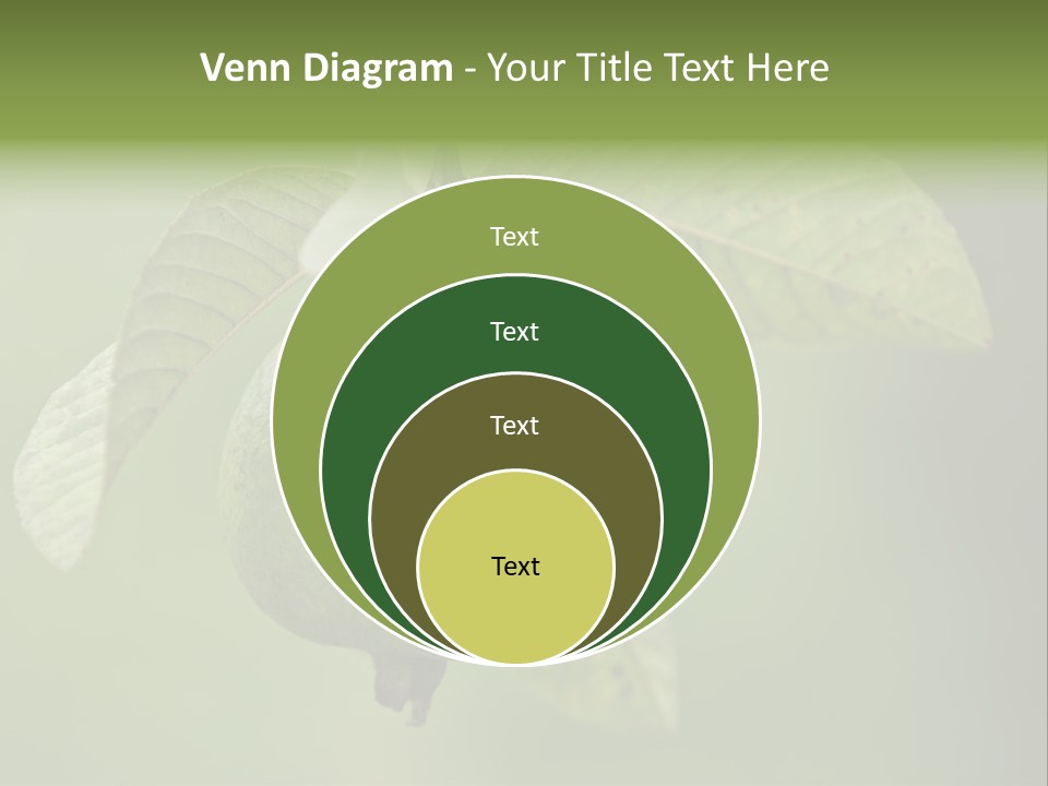 Orange Fruit Fiber PowerPoint Template