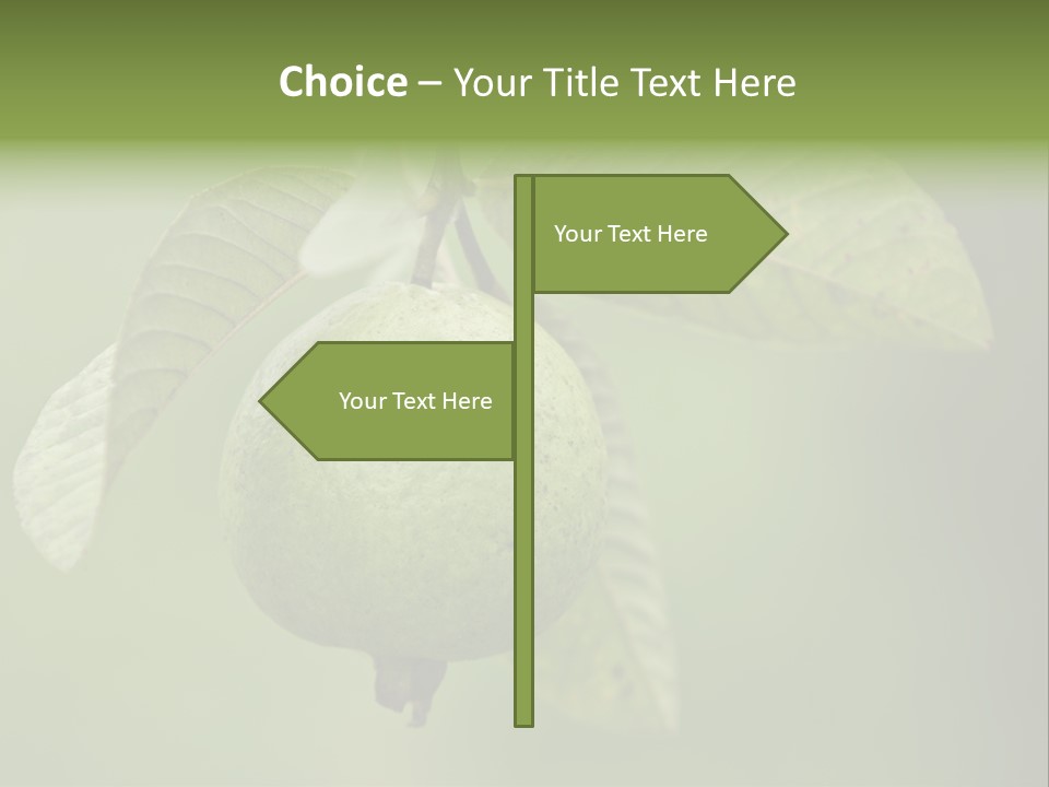 Orange Fruit Fiber PowerPoint Template