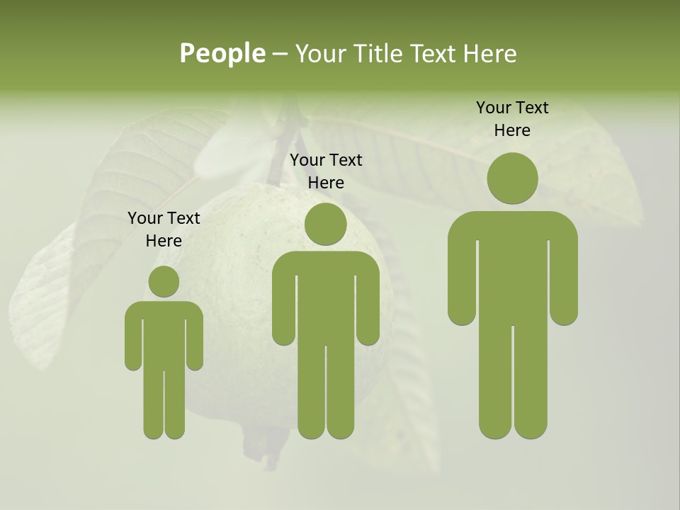 Orange Fruit Fiber PowerPoint Template