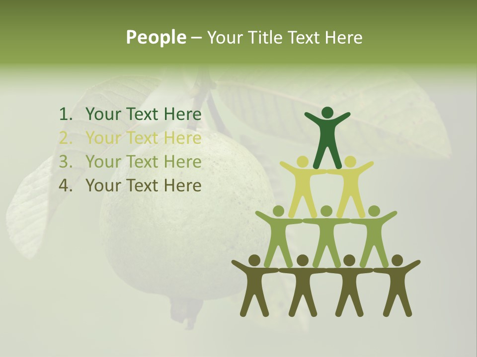 Orange Fruit Fiber PowerPoint Template