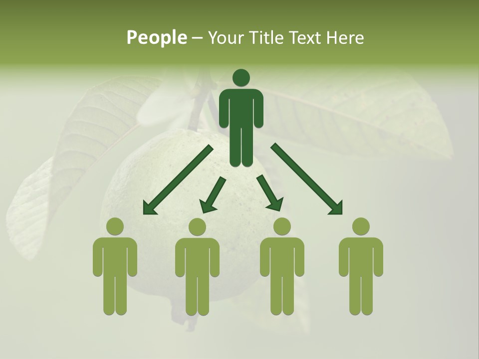 Orange Fruit Fiber PowerPoint Template