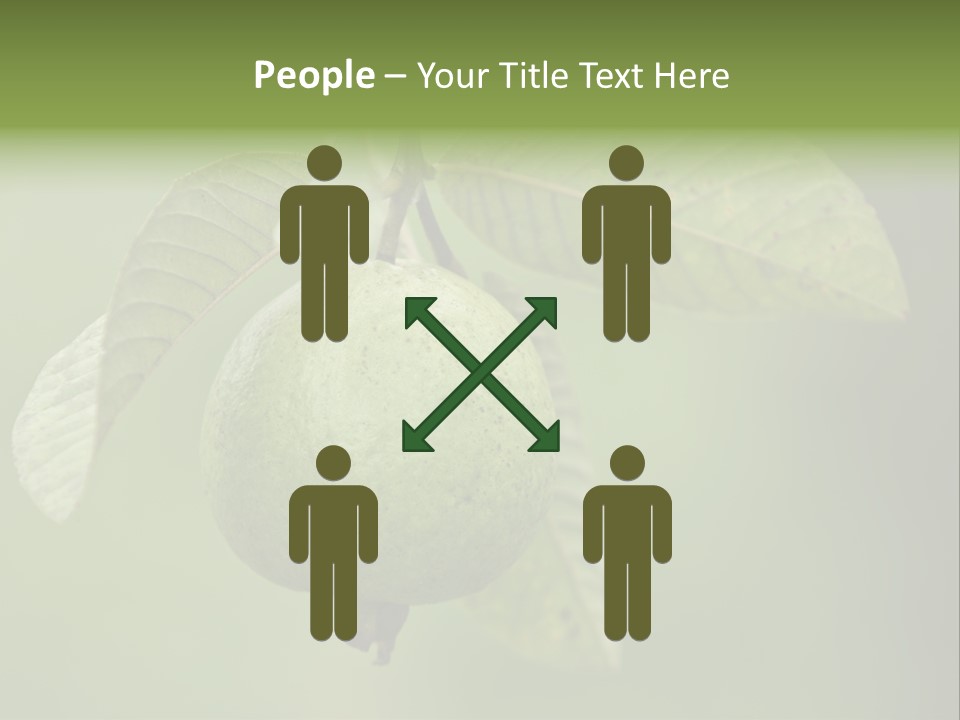 Orange Fruit Fiber PowerPoint Template