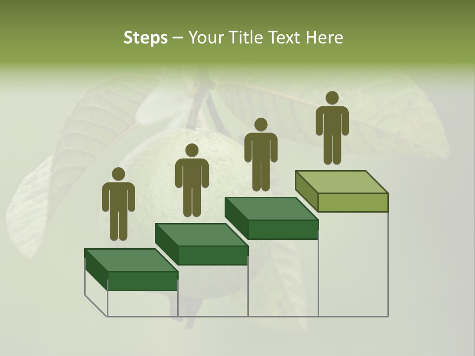 Orange Fruit Fiber PowerPoint Template