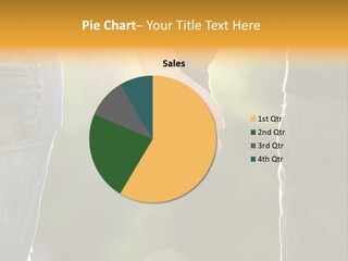 Medical Therapist Heal PowerPoint Template