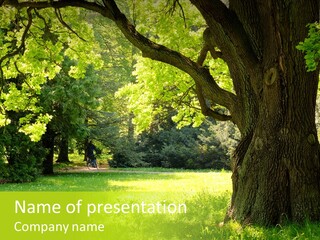 Summer Tree Bark PowerPoint Template