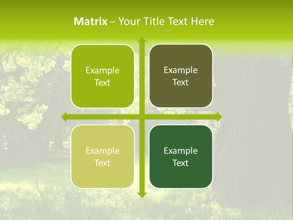 Summer Tree Bark PowerPoint Template
