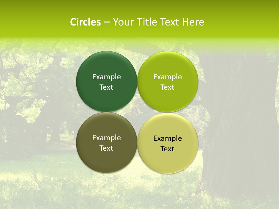 Summer Tree Bark PowerPoint Template