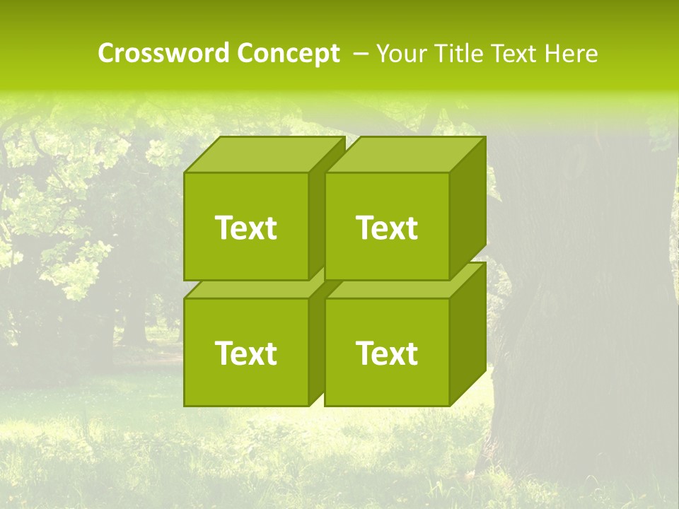 Summer Tree Bark PowerPoint Template