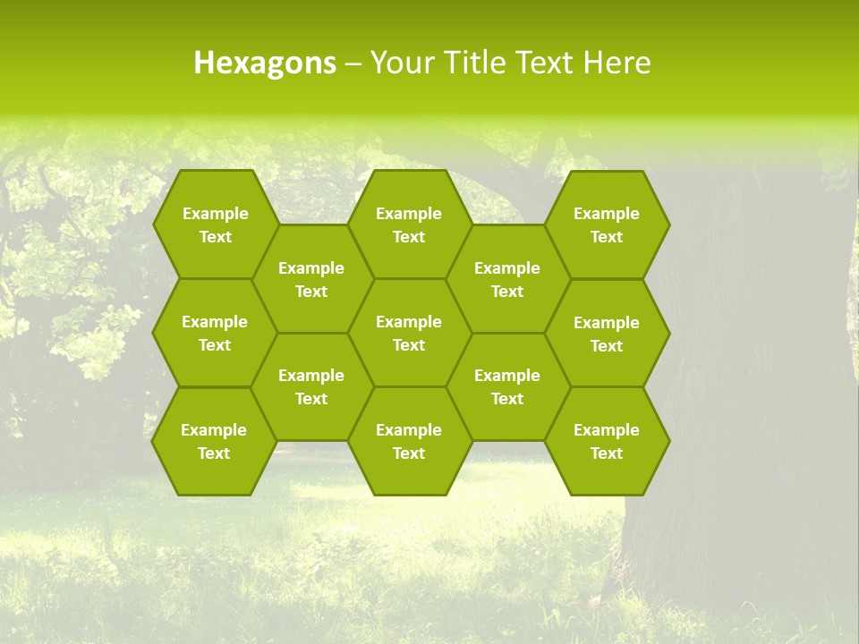 Summer Tree Bark PowerPoint Template