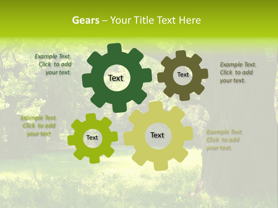 Summer Tree Bark PowerPoint Template