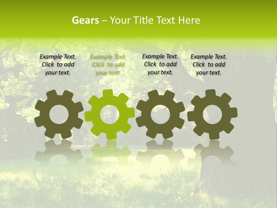 Summer Tree Bark PowerPoint Template