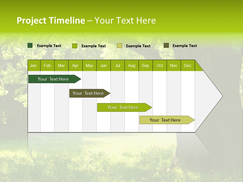 Summer Tree Bark PowerPoint Template