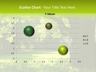 Summer Tree Bark PowerPoint Template