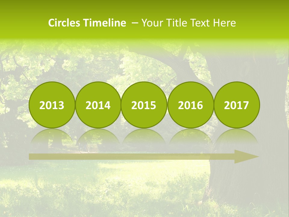 Summer Tree Bark PowerPoint Template
