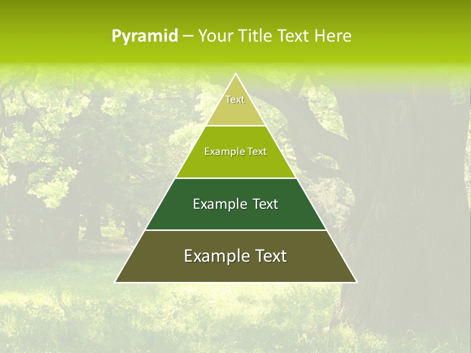 Summer Tree Bark PowerPoint Template