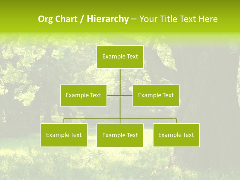 Summer Tree Bark PowerPoint Template