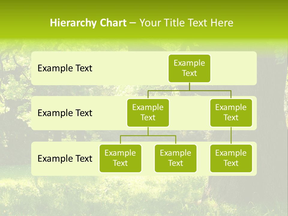 Summer Tree Bark PowerPoint Template