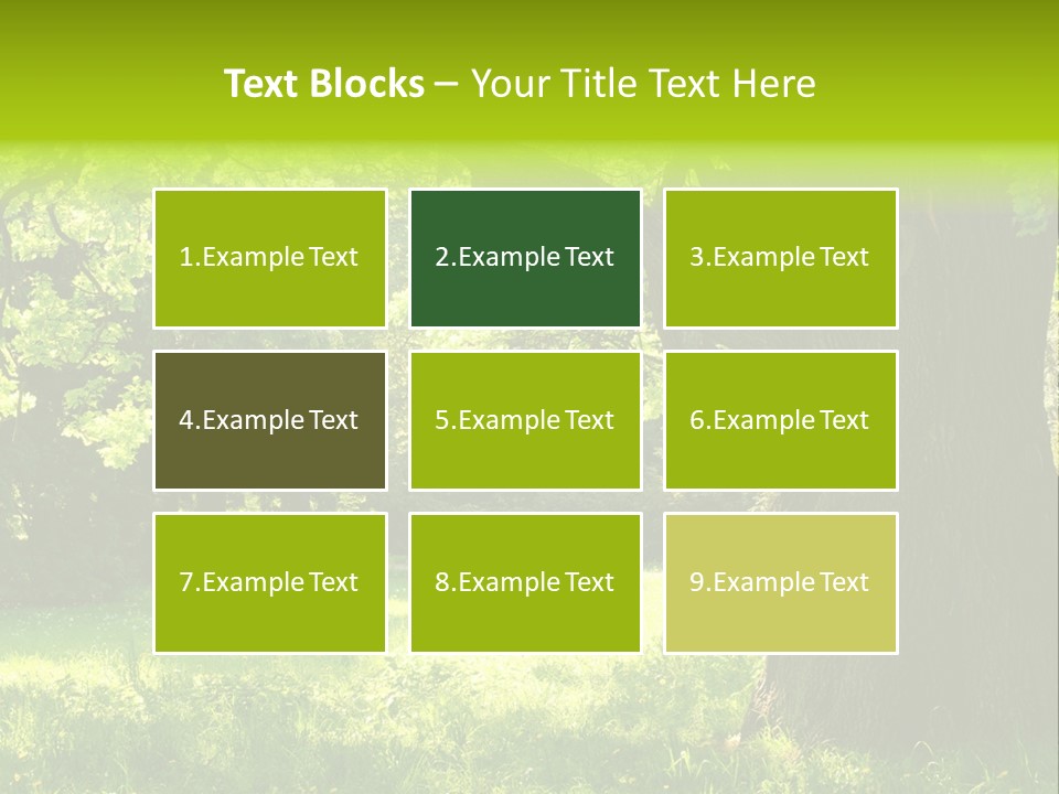 Summer Tree Bark PowerPoint Template