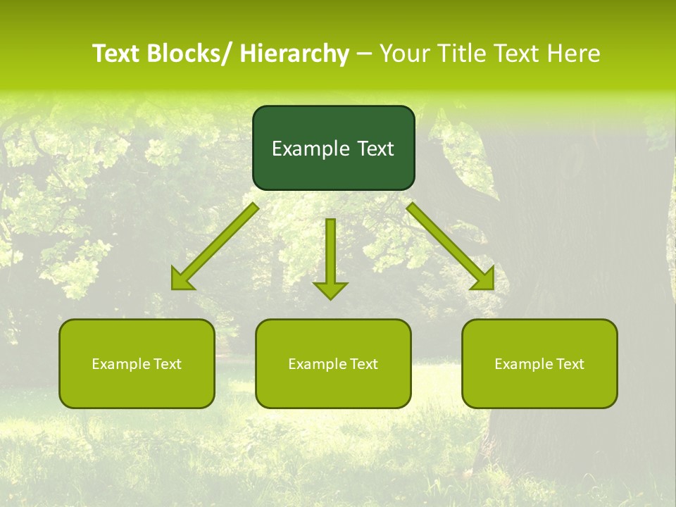 Summer Tree Bark PowerPoint Template