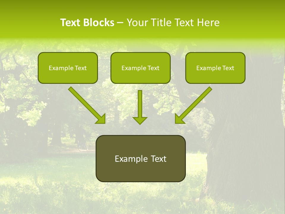 Summer Tree Bark PowerPoint Template