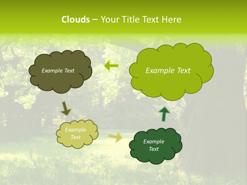 Summer Tree Bark PowerPoint Template