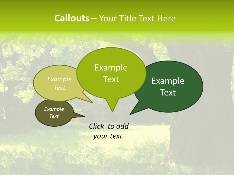 Summer Tree Bark PowerPoint Template