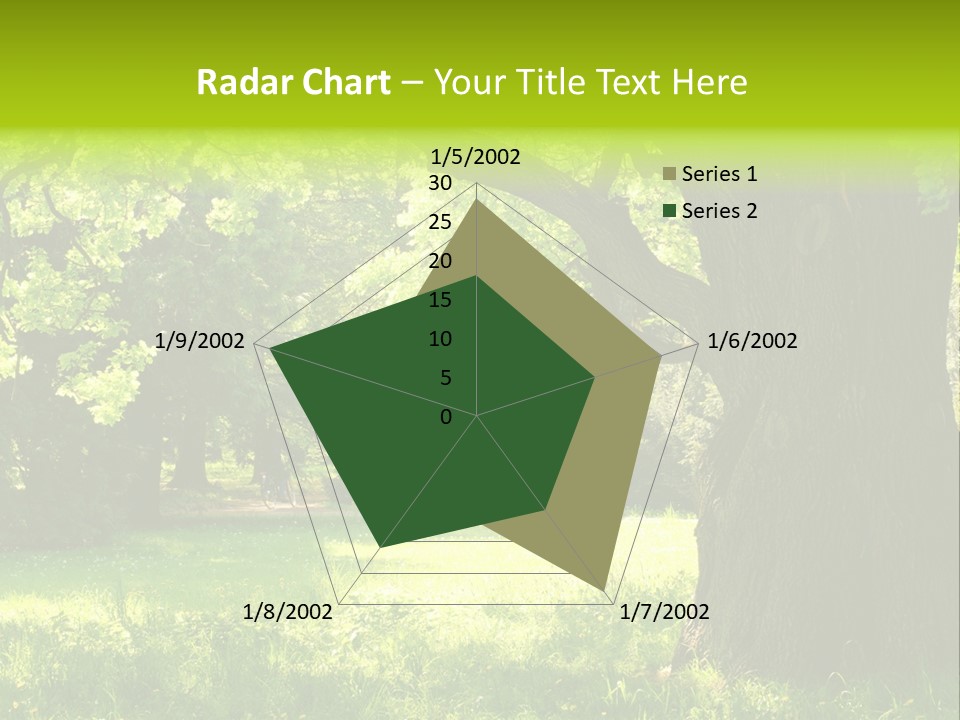 Summer Tree Bark PowerPoint Template