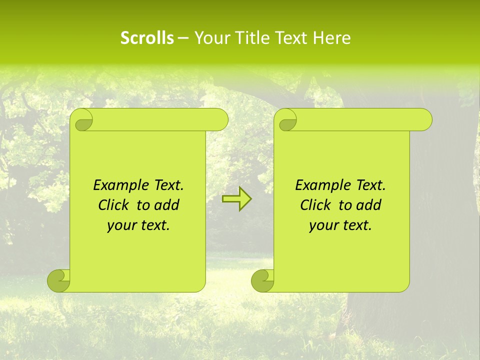 Summer Tree Bark PowerPoint Template