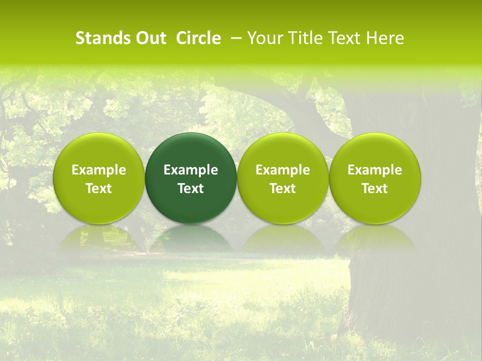 Summer Tree Bark PowerPoint Template