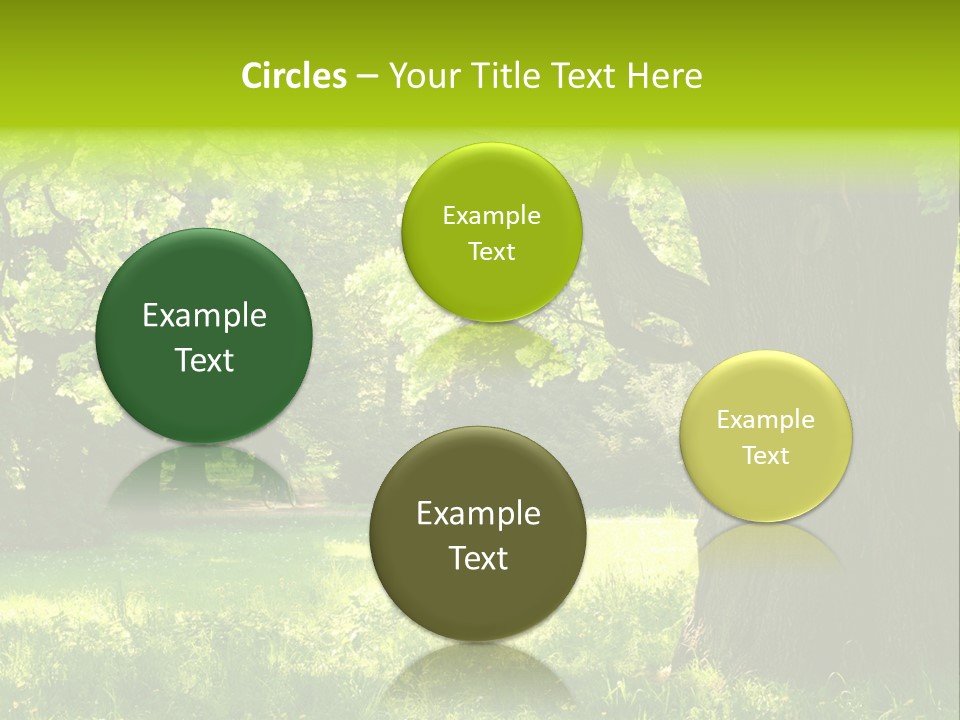 Summer Tree Bark PowerPoint Template