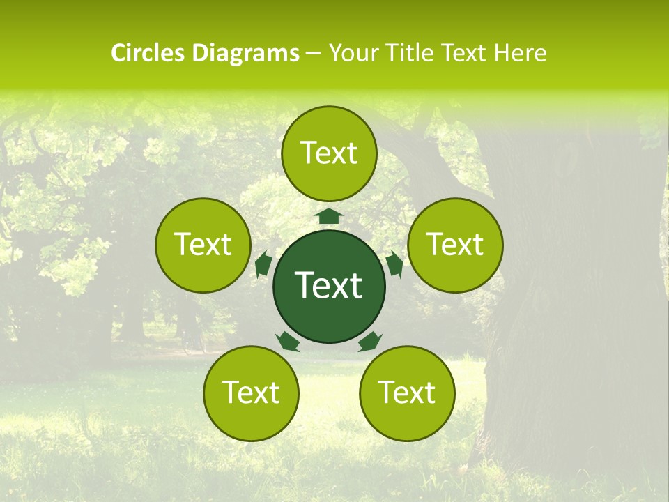 Summer Tree Bark PowerPoint Template