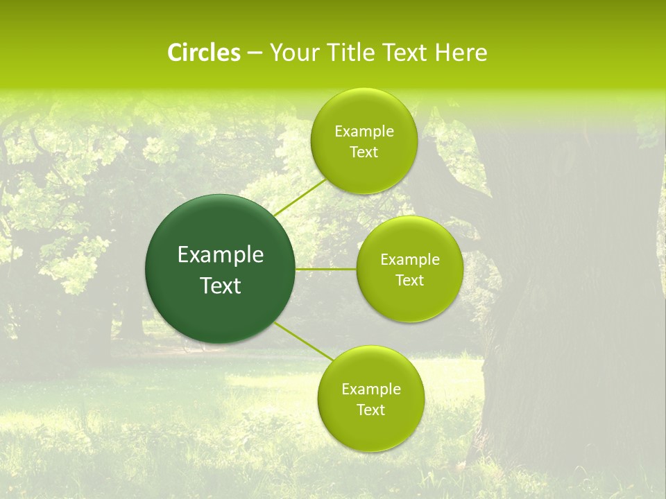 Summer Tree Bark PowerPoint Template