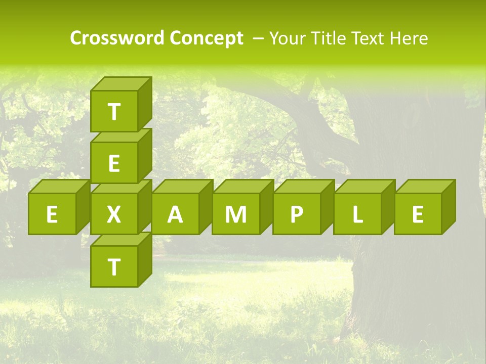 Summer Tree Bark PowerPoint Template