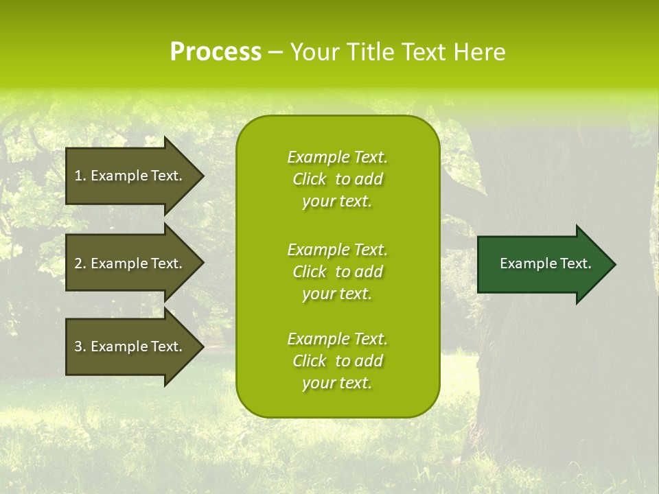 Summer Tree Bark PowerPoint Template