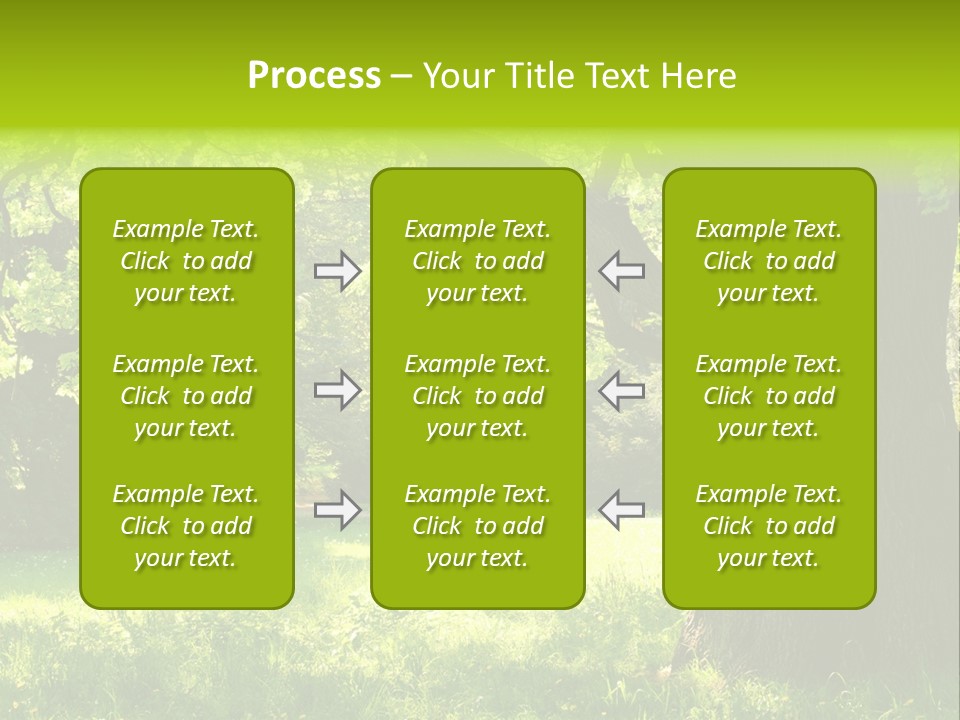 Summer Tree Bark PowerPoint Template