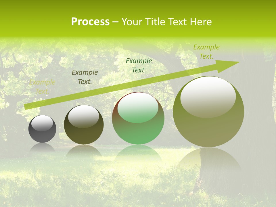 Summer Tree Bark PowerPoint Template