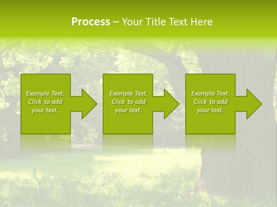 Summer Tree Bark PowerPoint Template