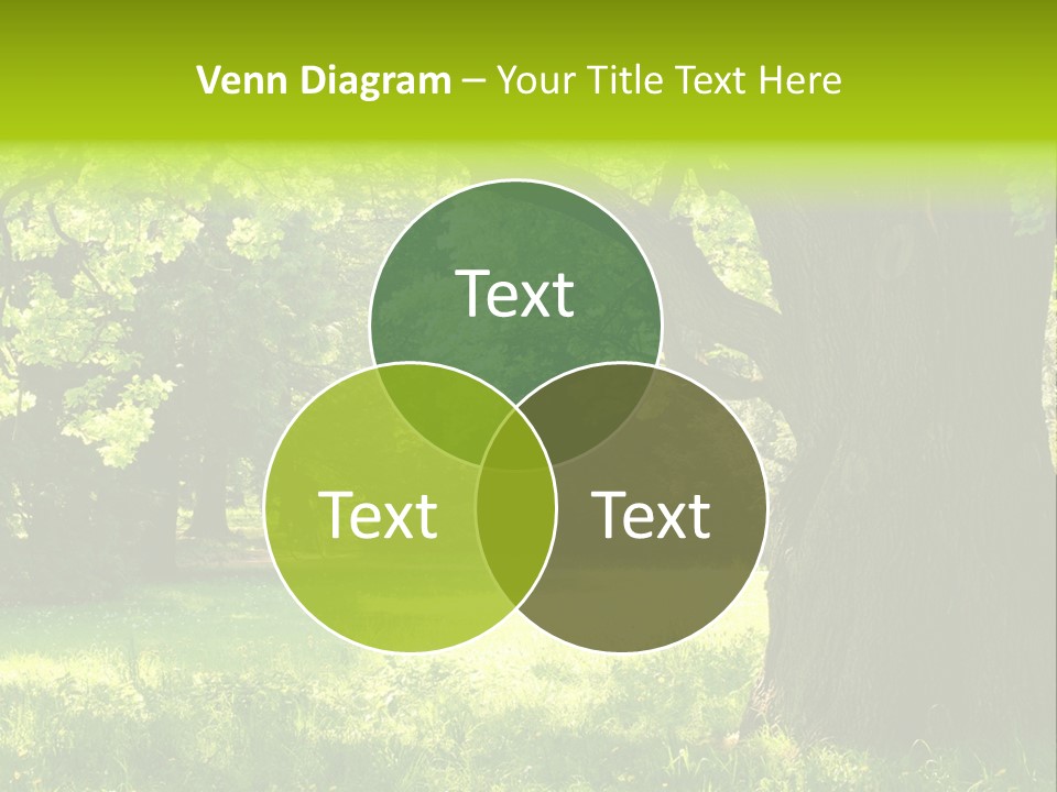 Summer Tree Bark PowerPoint Template