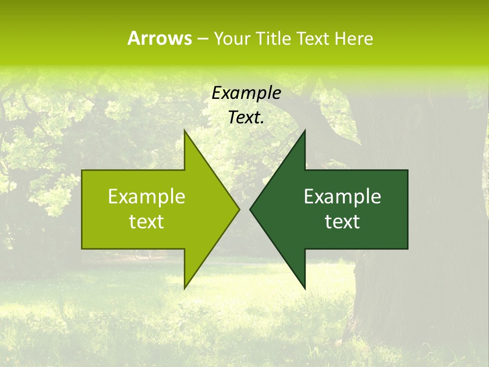 Summer Tree Bark PowerPoint Template