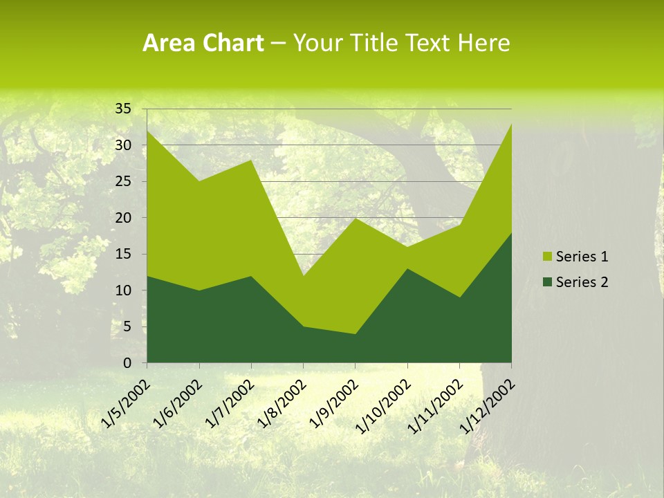 Summer Tree Bark PowerPoint Template